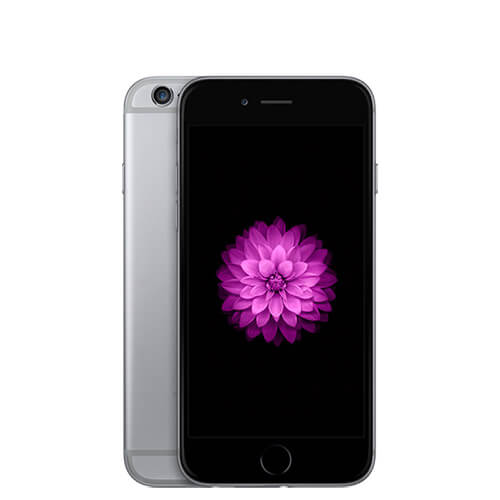 iPhone 6 iPhone 6